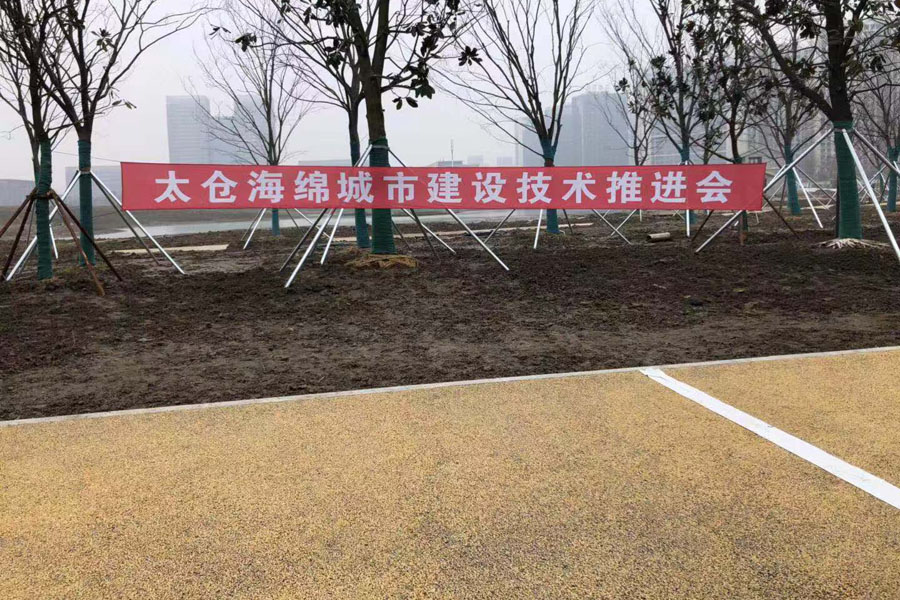 冰球突破股份出席中日政府间科技合作项目、国家重点研发项目研讨会暨“太仓海绵城市建设技术“推进会