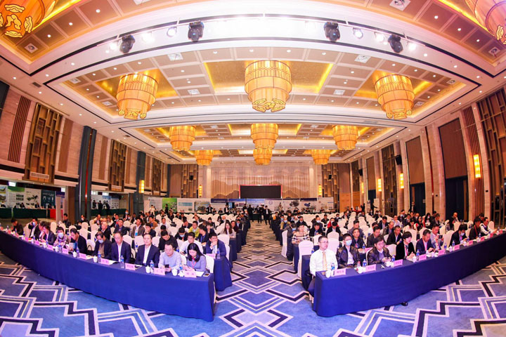 Ϻͻƹɷݳнĺϳɳ̷ɫѭĿϲӭ2021ȫԴø߲̳λιۿ