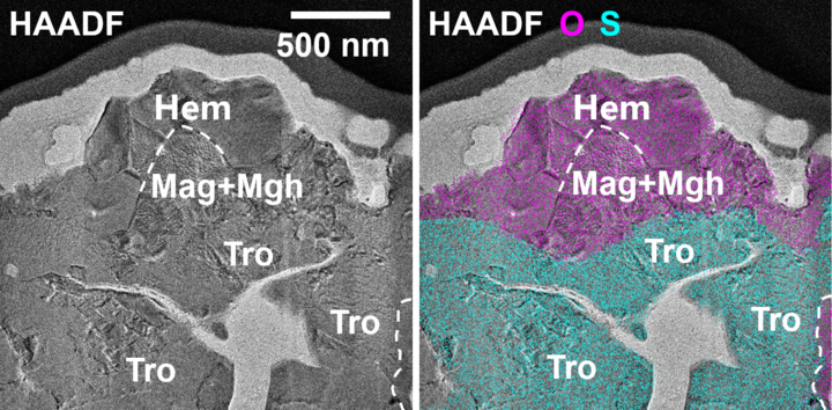 �϶�����������Ʒ���״η��־��ʳ�����